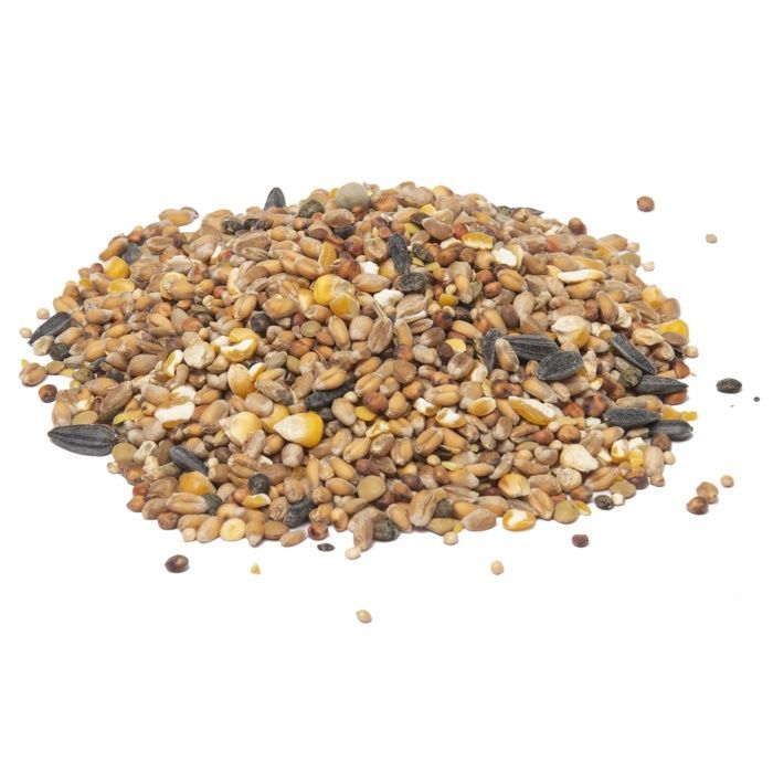 Miscela di semi - Giardino - 5 kg - Uccelli selvatici - Alimento bilanciato - Energia