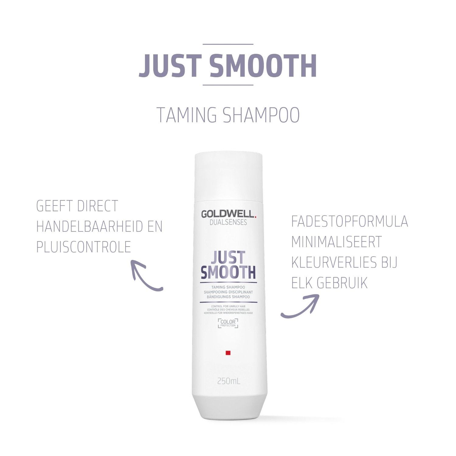 Goldwell Dualsenses Just Smooth šampon za lase - 250 ml