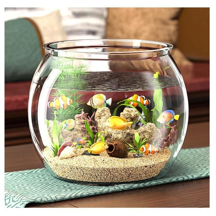 Aquarium de Bureau Bol À Poissons Transparent Petit Aquarium en Verre Vase à Poissons Bocal À Poissons pour Table À Table Affichage