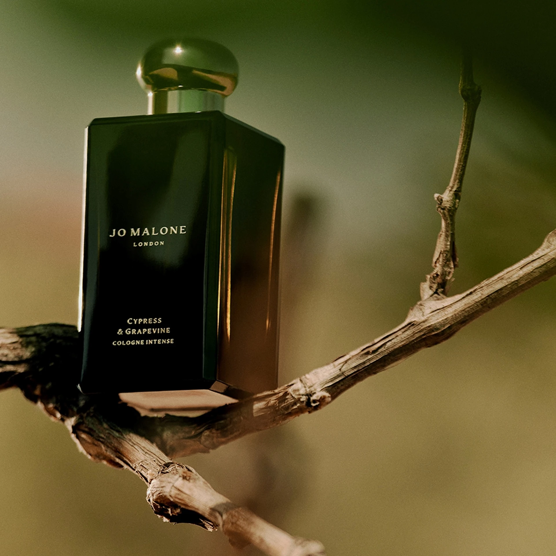 Intenzivna kolonjska voda od čempresa i grožđa 100 ml - Jo Malone London