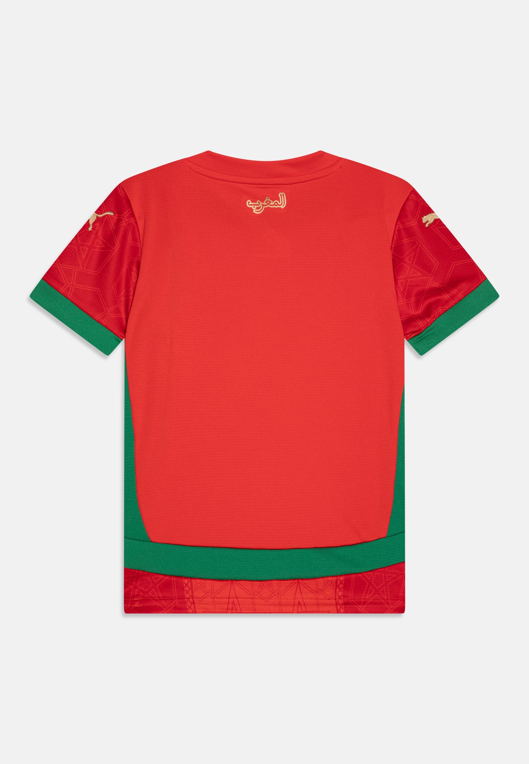 Puma FRMF MAROCCO HOME REPLICA JR UNISEX - Abbigliamento della nazionale - rosso/verde archivio