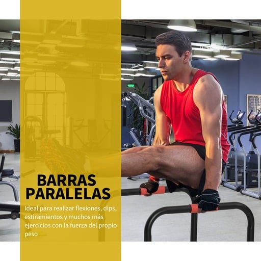  Barras paralelas Homcom A91-026