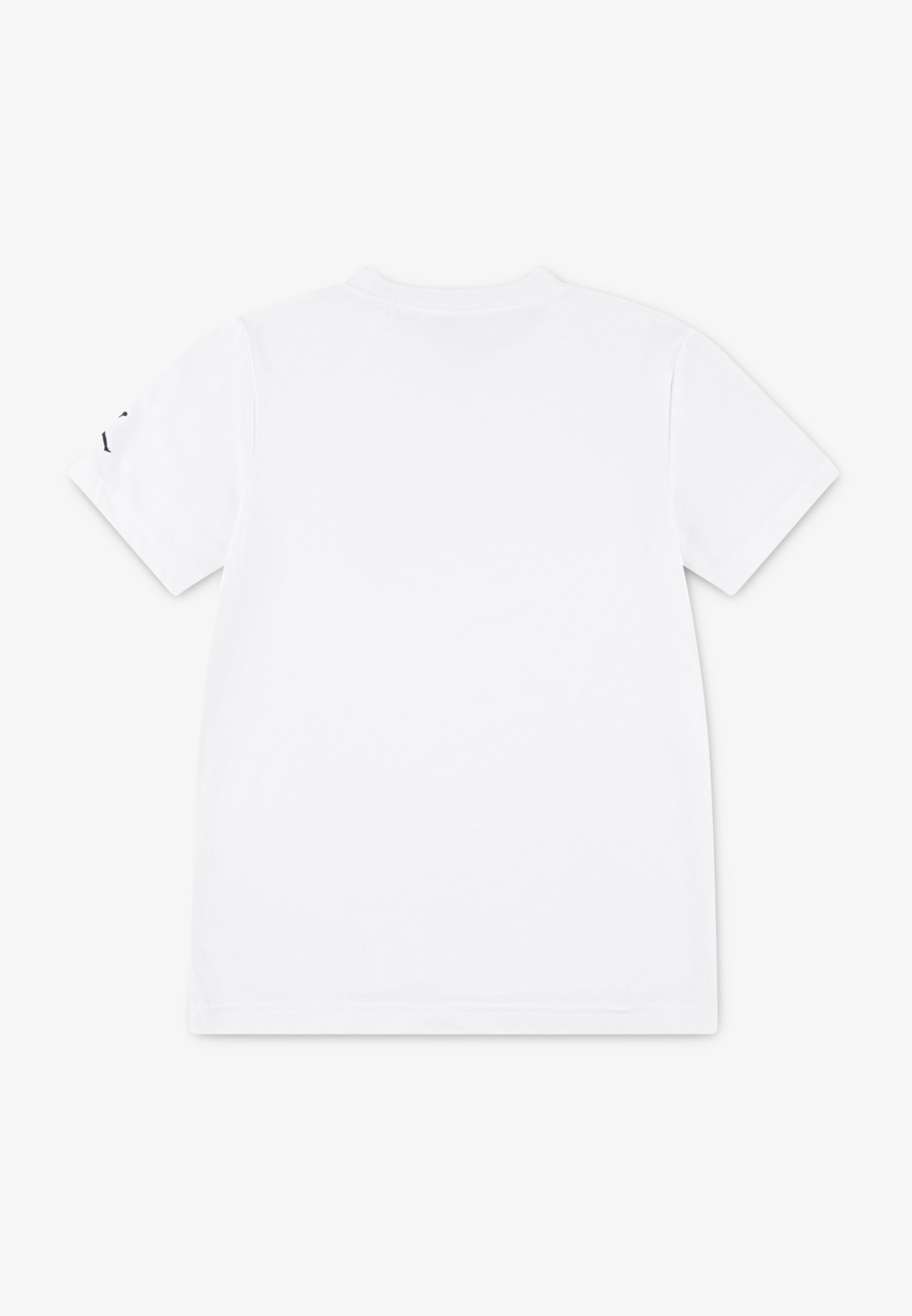 Jordan WORDMARK CREW UNISEX - T-shirt met print - wit