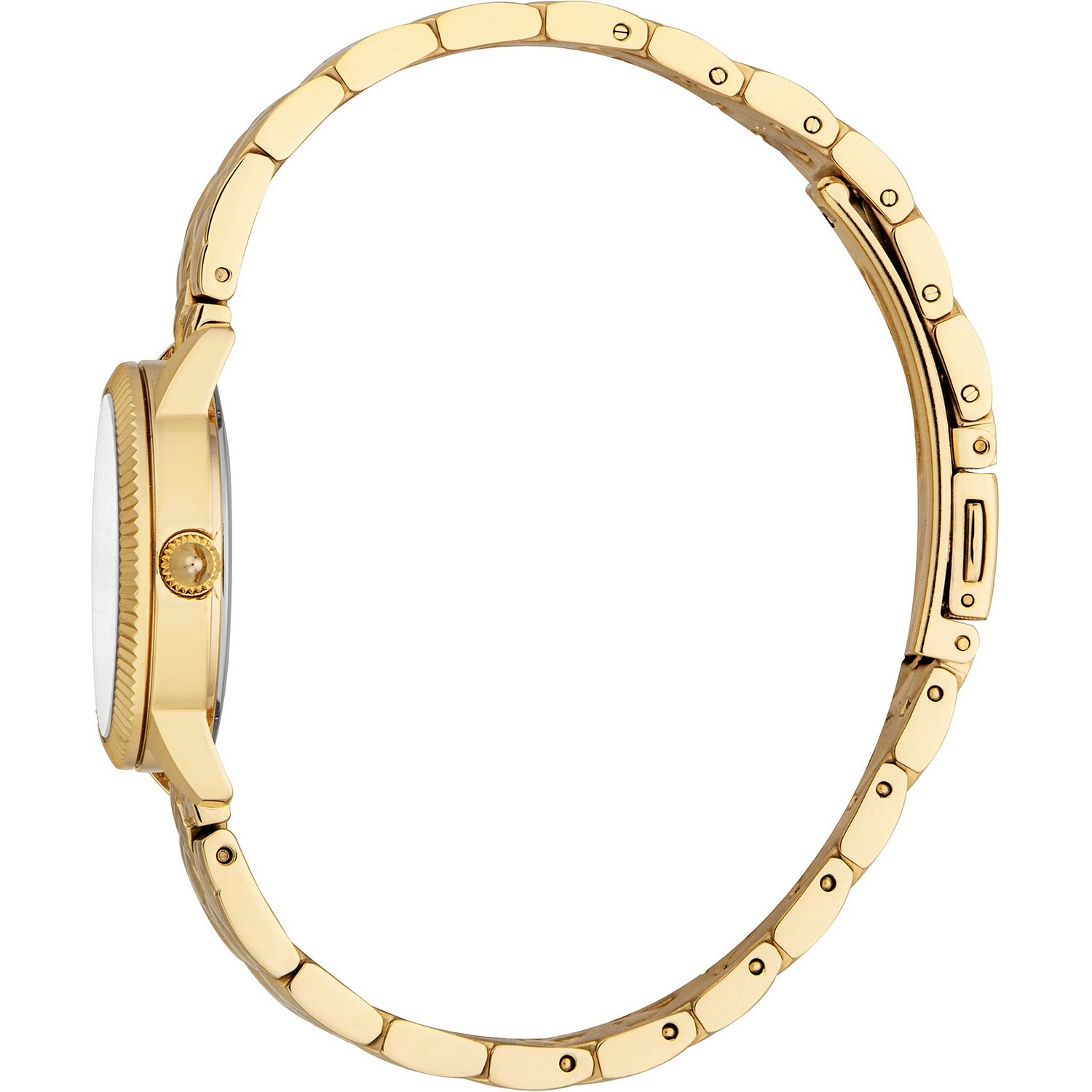Roberto Cavalli Montres