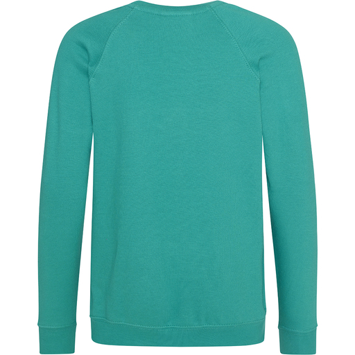 Sudadera Con Mangas Raglan Awdis Academy