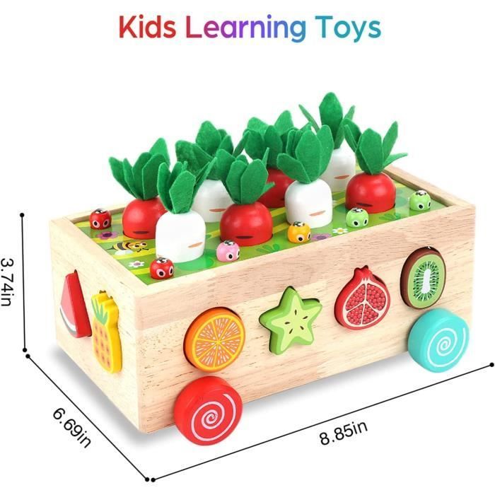 Juego educativo de madera - Método Montessori - Juego de pesca magnético - Desarrolla la motricidad fina - Para niños de 2 a 4 años