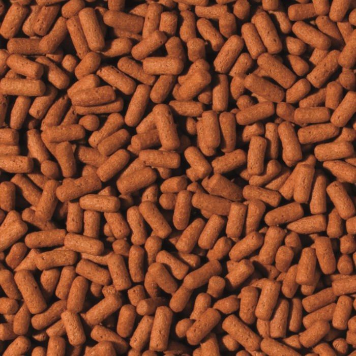 Fischfutter - TROPICAL - 63539 - Buntbarsch - Arowana - Pellets mit Vitamin C