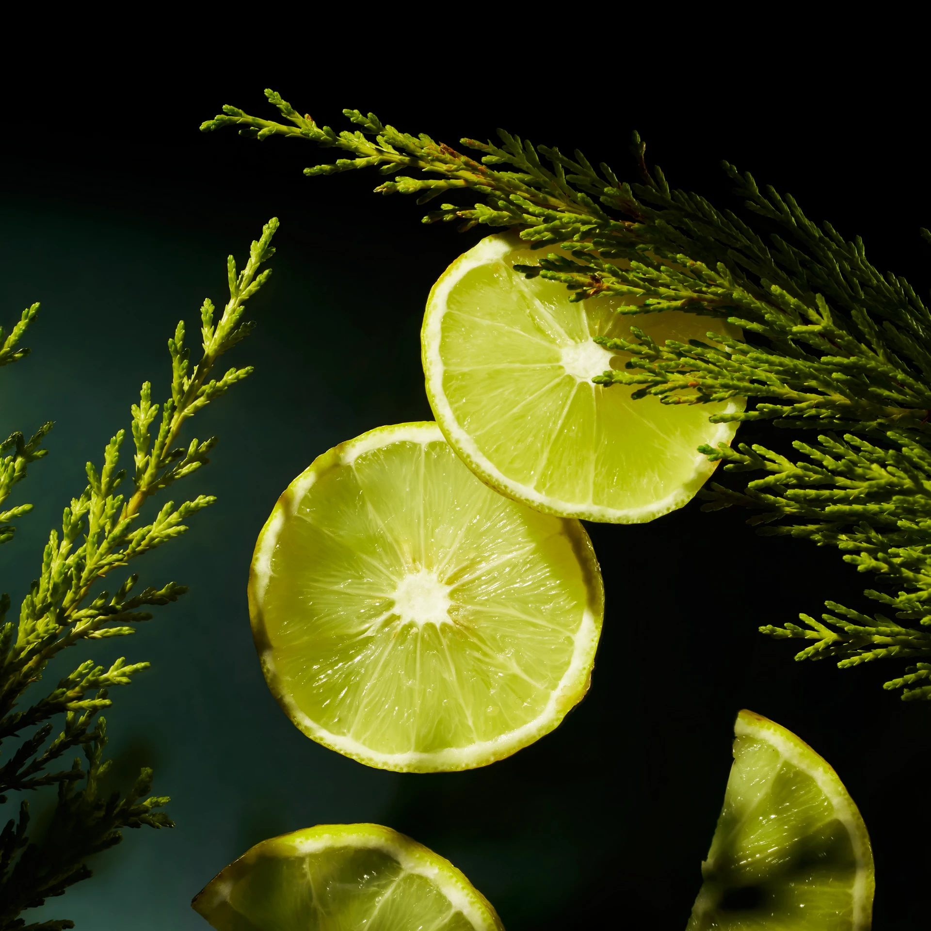 Homme - Kis ajándékdoboz - Rituálék