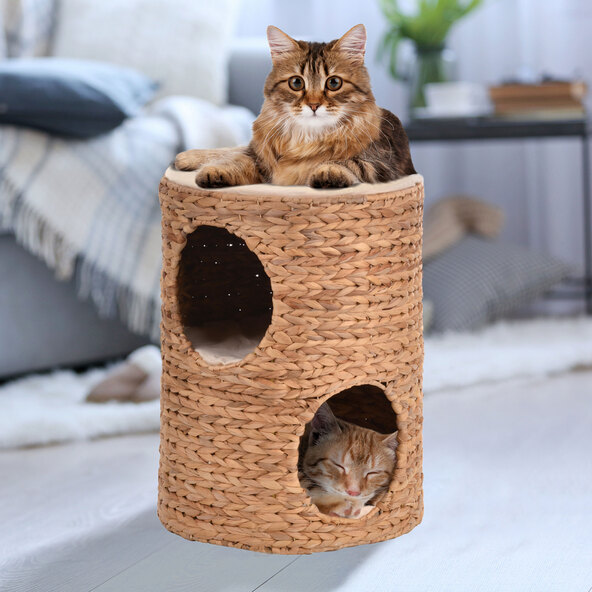 Kattenton waterhyacint