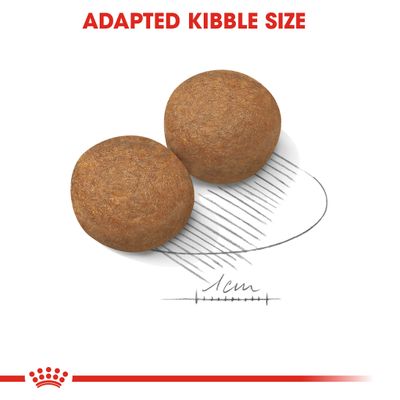 Royal Canin Maxi Adulte