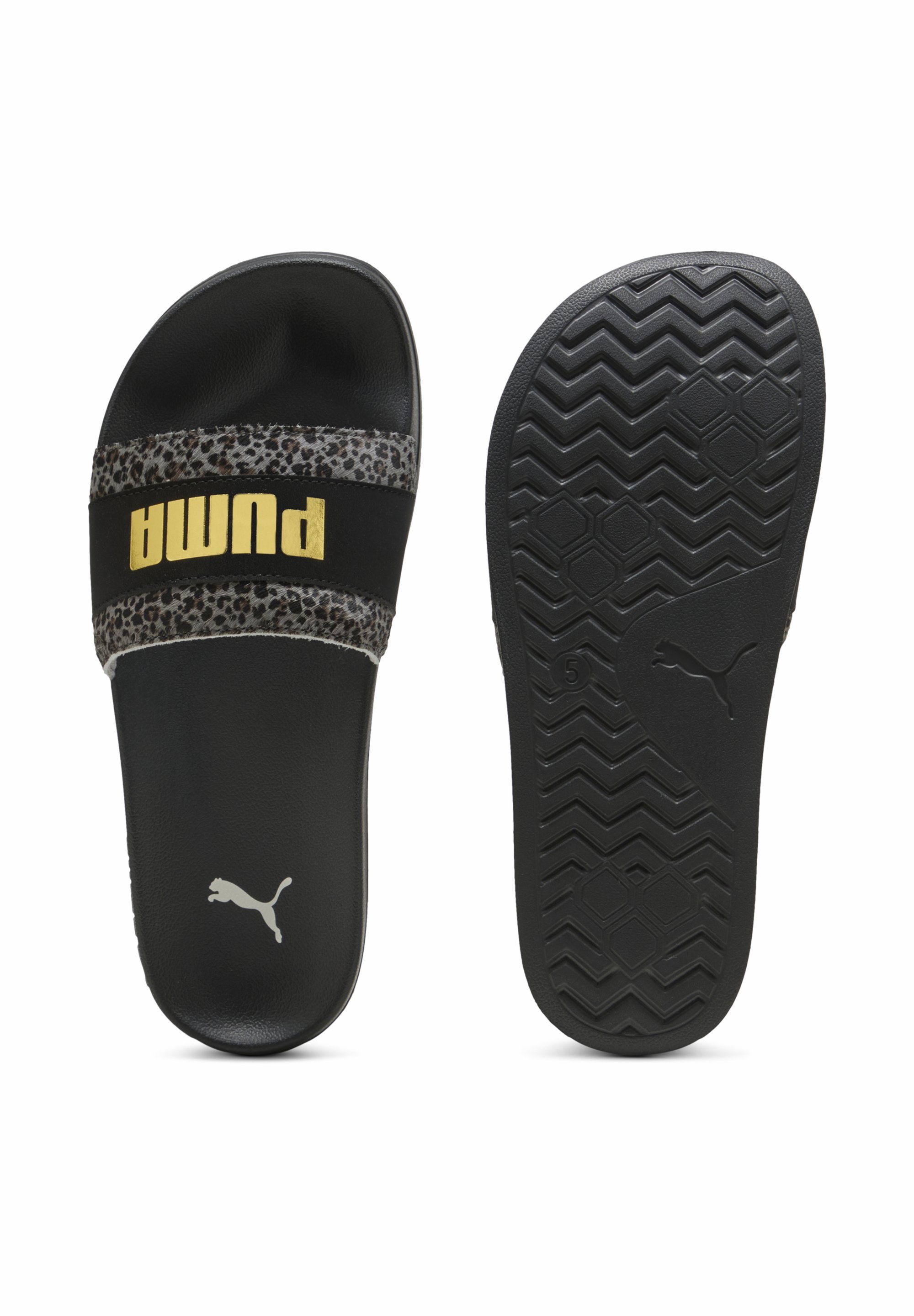 Puma zwembadglijbanen