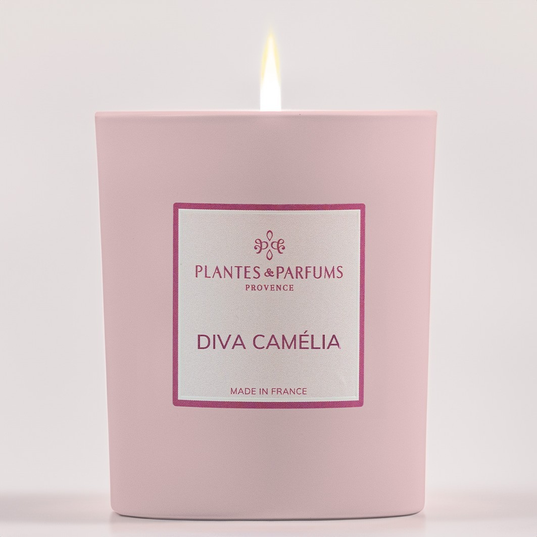 Plantes & Parfums Diva Camélia