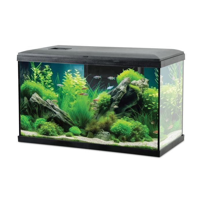 Aquarium poisson Tana LED 60cm noir - Zolux Noir