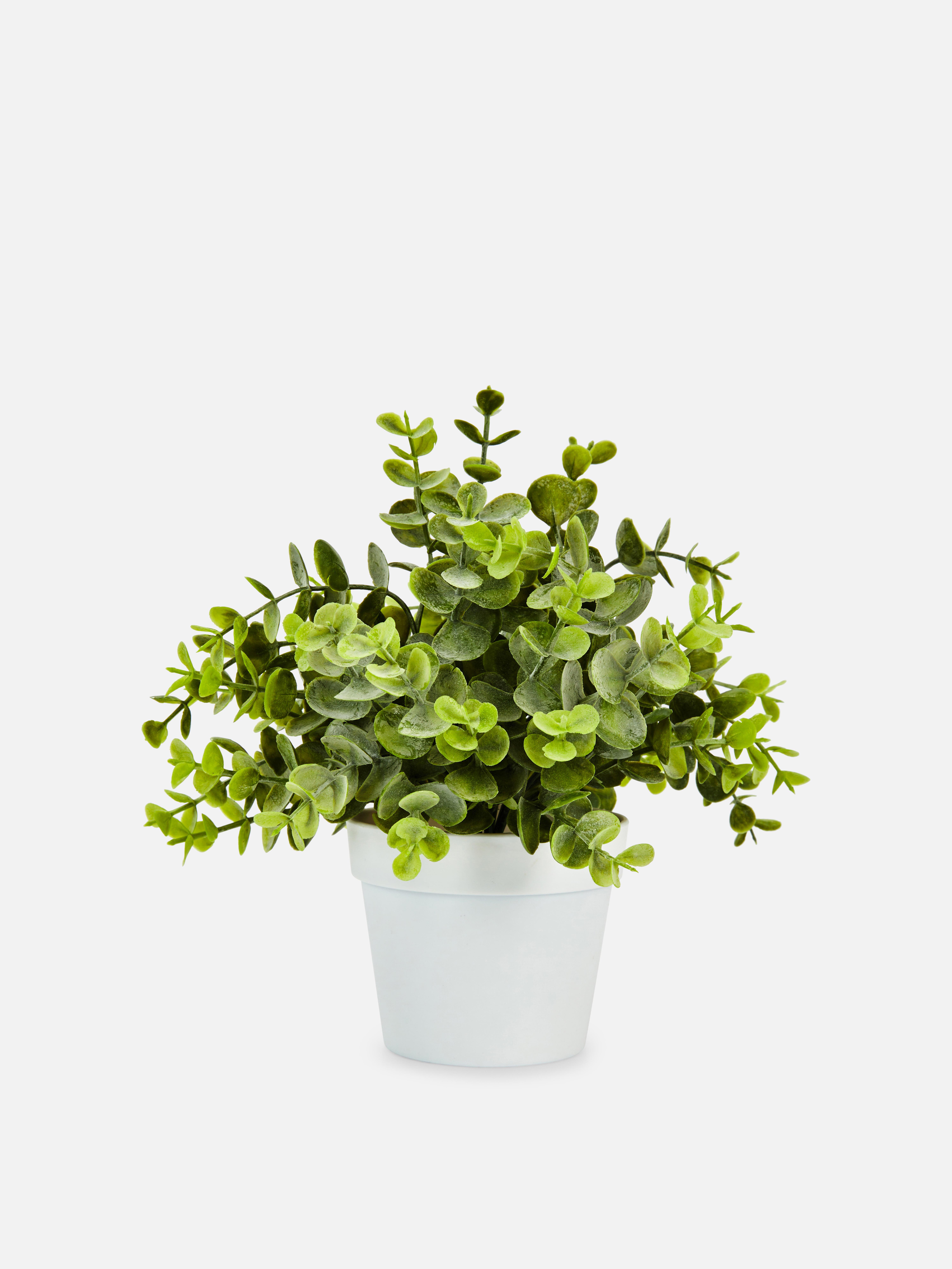 Plantă mică de eucalipt artificial Înveselește-ți interiorul cu un eucalipt artificial