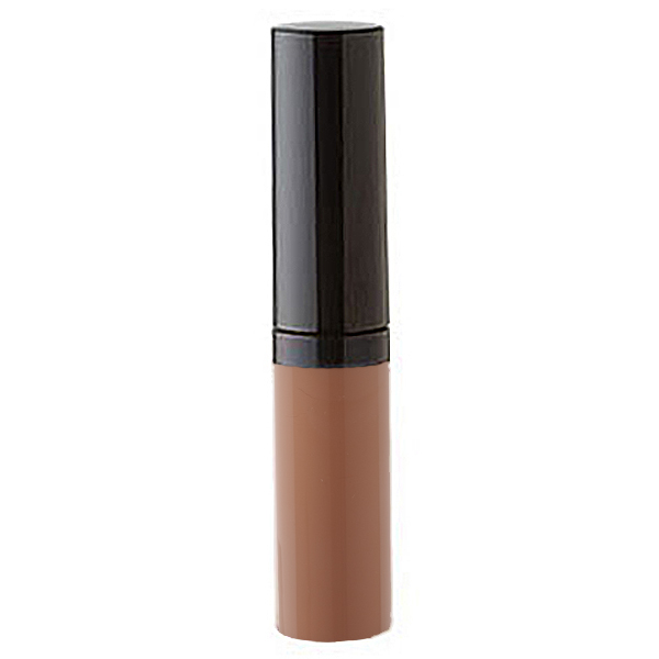 Correcteur Perfect Finish