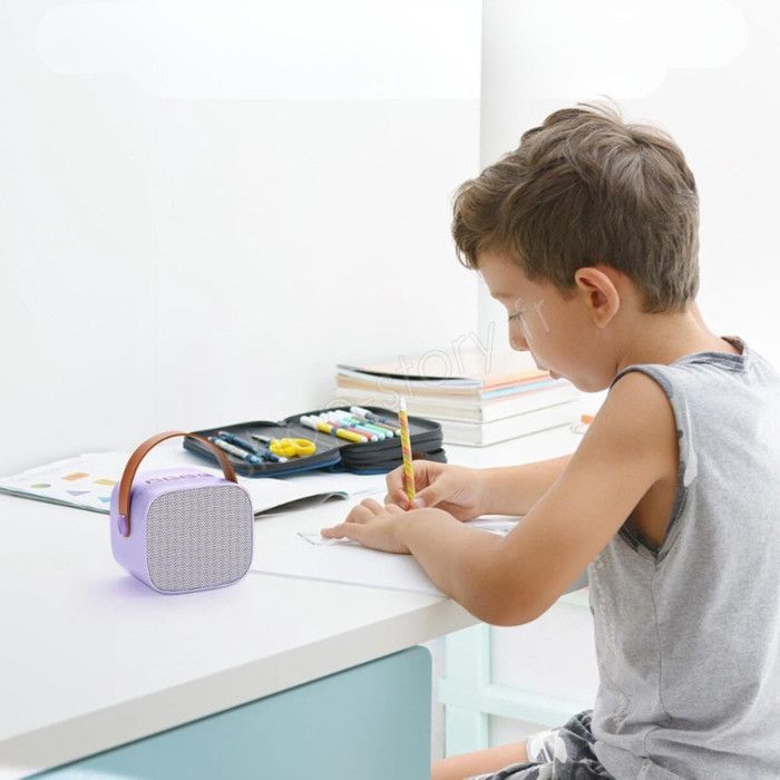 Karaoke Kit - SHOP-STORY - KARAOKIT_VI - Portable - 2 Wireless Microphones - LED