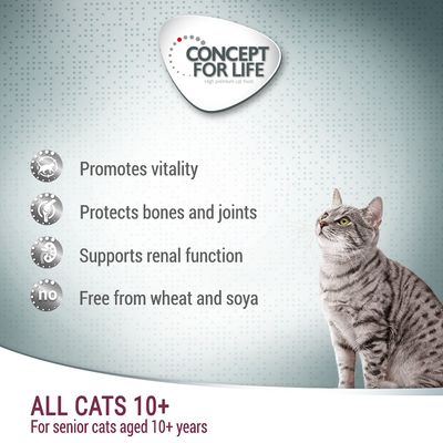 Concept voor het leven van alle katten van 10 jaar en ouder