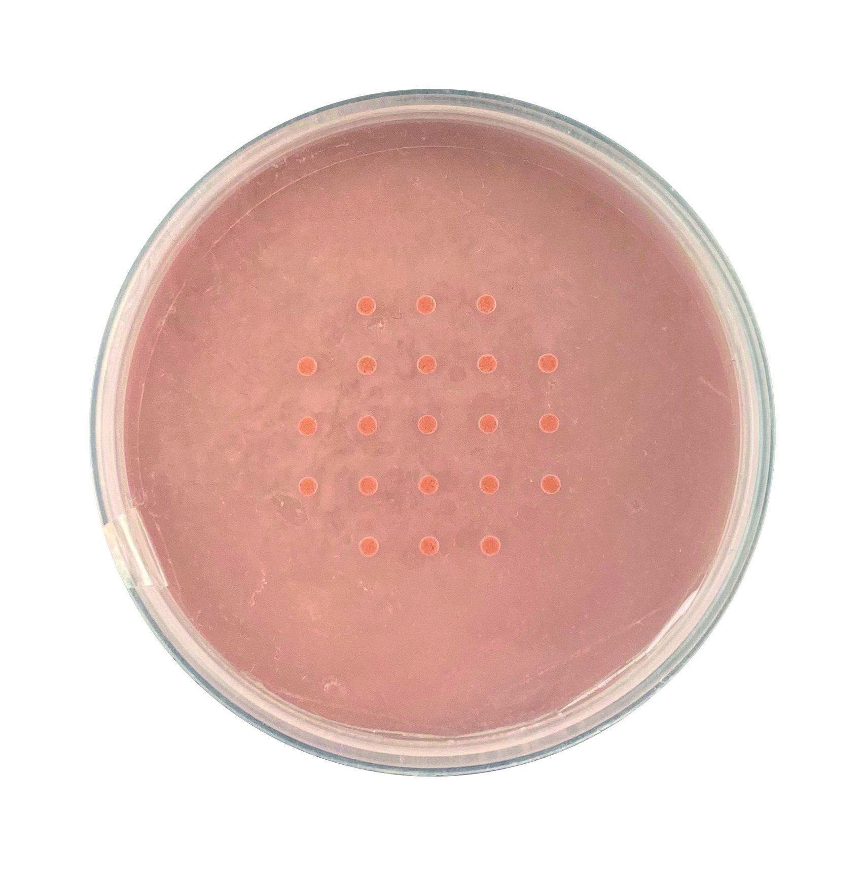 Mineralni puder v prahu Podlage