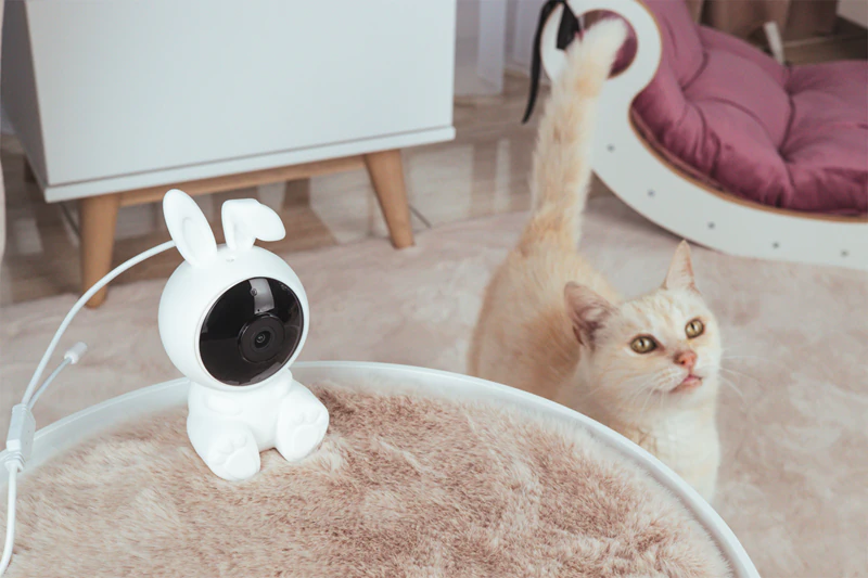 Câmera residencial inteligente Wi-Fi innoGIO GIO Safety Rabbit