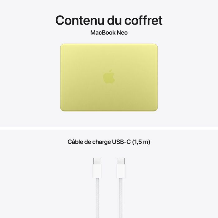 Apple - 13