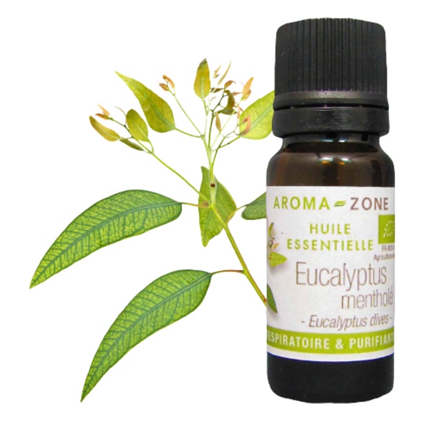 Olio essenziale di eucalipto mentolato biologico 10 ml