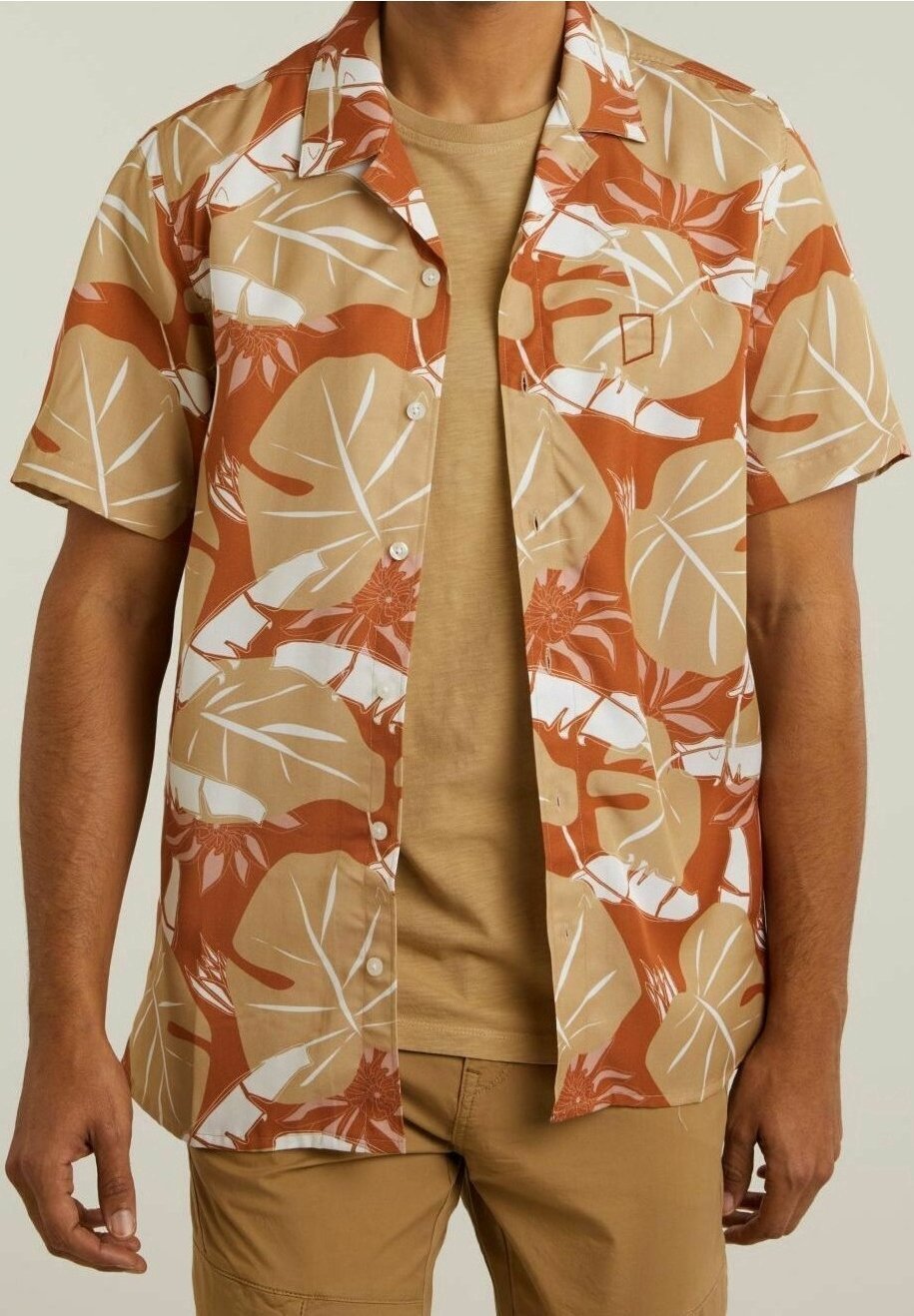 Chasin' shirt - bruin