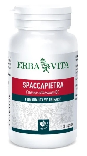 ERBA VITA Erba Vita Spaccapietra Urinewegfunctiesupplement 60 capsules