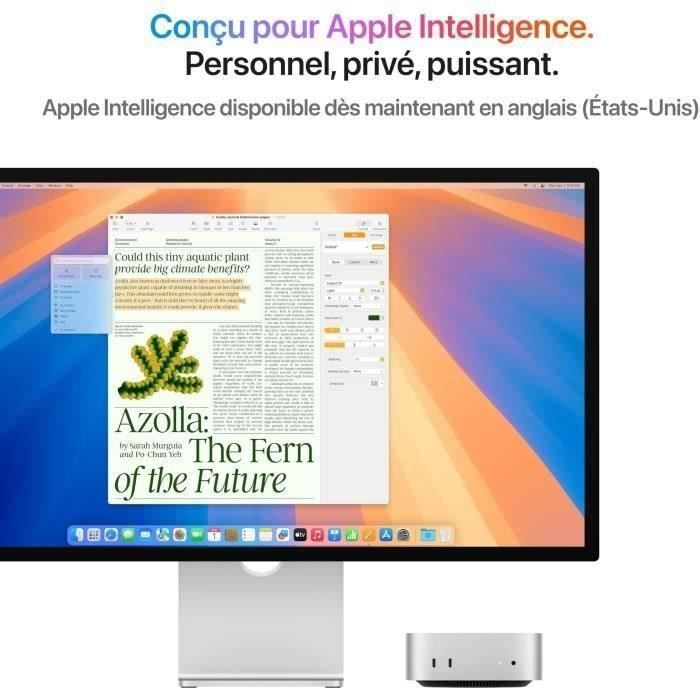 Apple - Mac mini (2024) Puce Apple M4 - 16Go - 256Go SSD - CPU 10 cœurs GPU 10 cœurs Argent (2024) - Reconditionné - Excellent état
