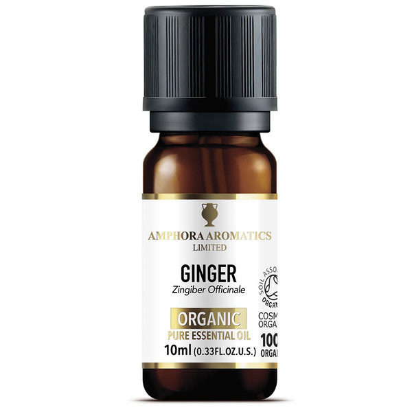 Aceite esencial de jengibre orgánico Amphora Aromatics 10 ml | Salud | Superdrug