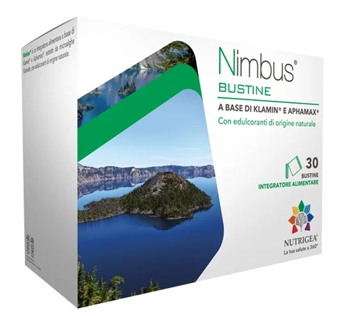 Nimbus 30Bust