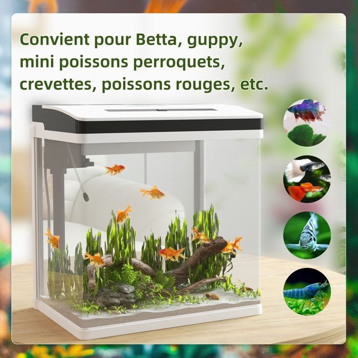 Acquario in vetro - PawHut - con filtro, coperchio e luce LED per pesci - Capacità 28 litri - Vetro - 38x26x39,5 cm - Bianco