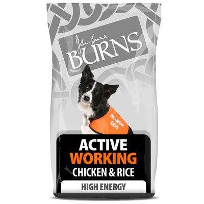 Burns Active Working - Kuře s rýží