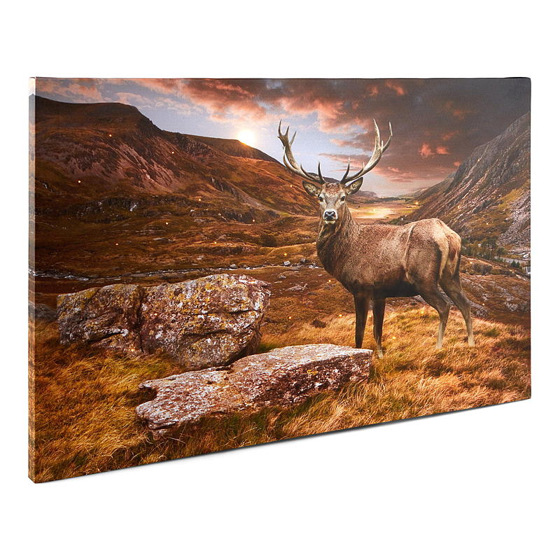 Stampa su tela Home 38x58 cm LED/fibra ottica Autunno