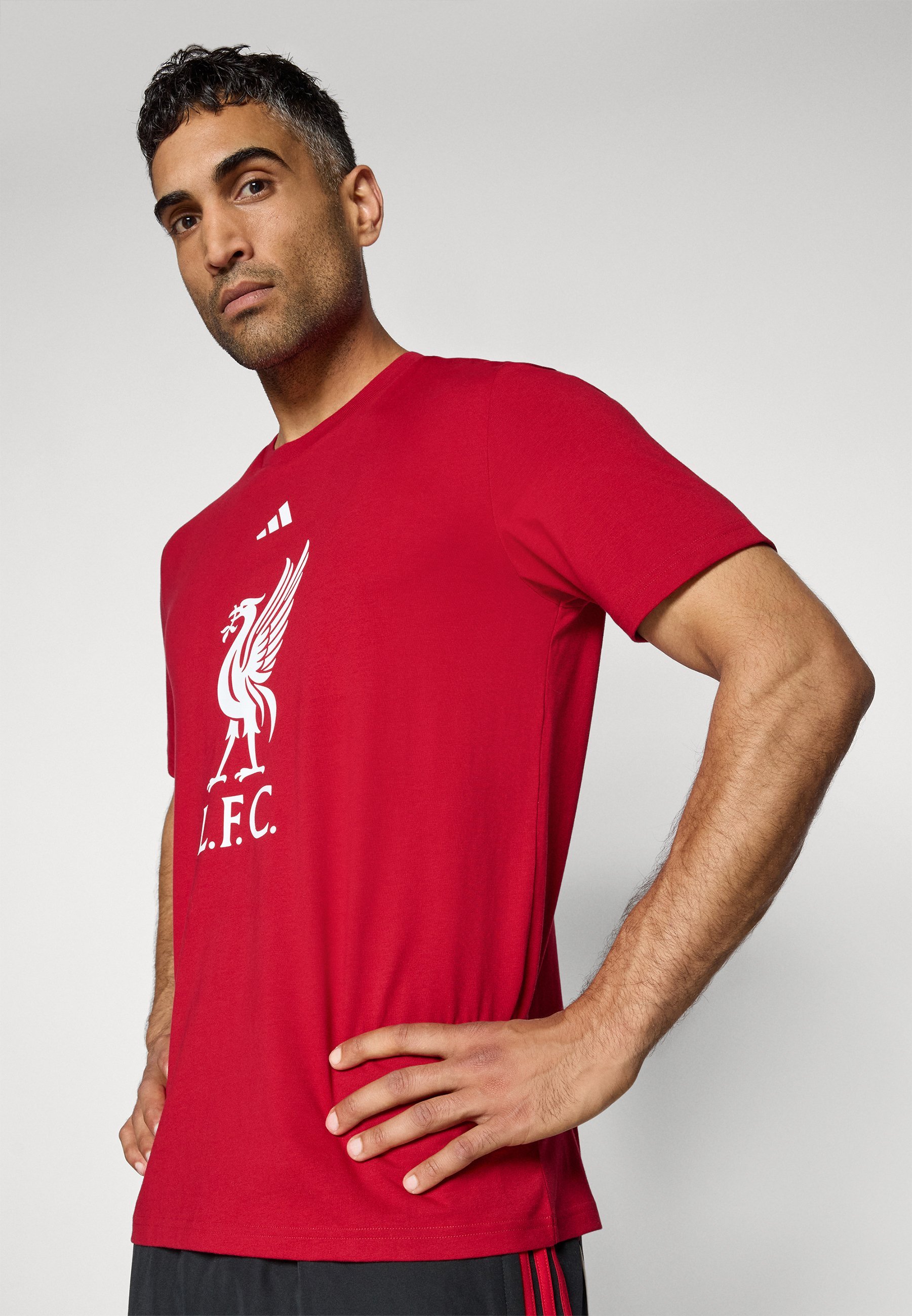 adidas Performance LIVERPOOL FC DNA GRAPHIC T-SHIRT - Vereinskleidung - Erdbeerrot
