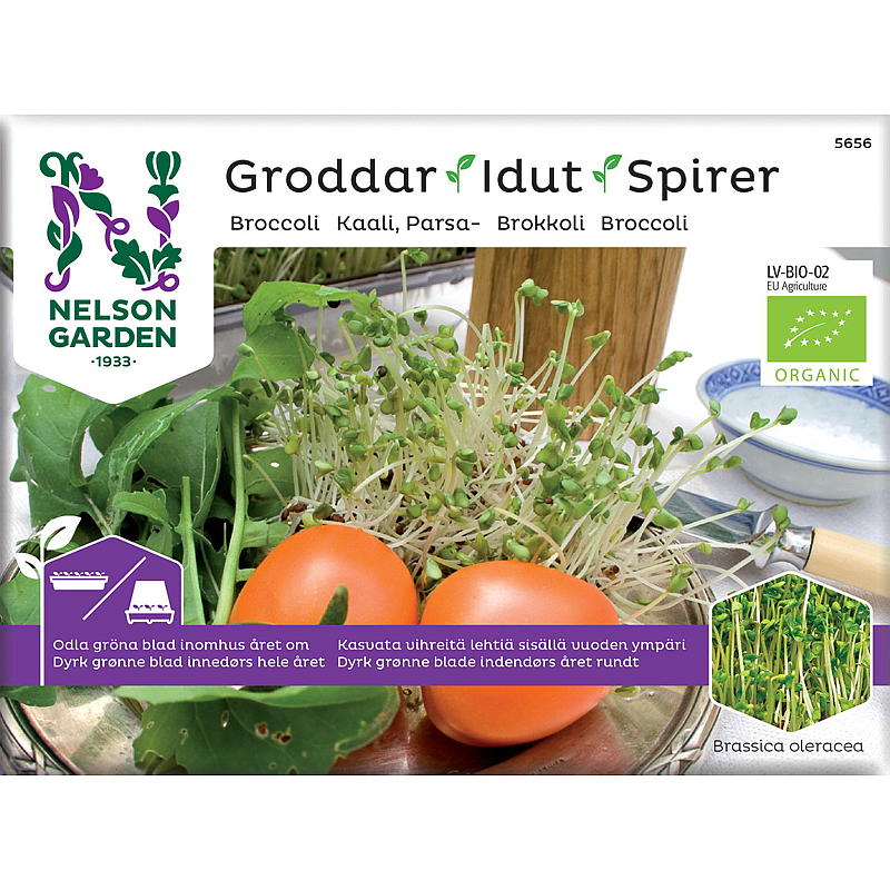 Nelson trädgårdsspiror Broccoli ekologisk