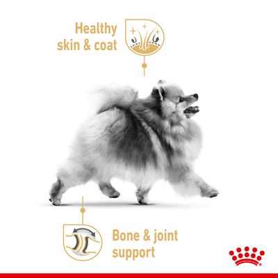 Royal Canin Pomeranian Adult Loaf