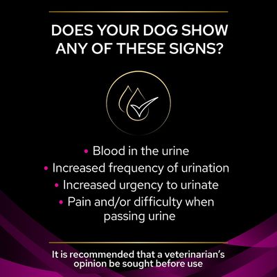 PURINA PRO PLAN Veterinary Diets UR Urinary