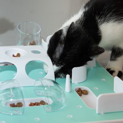Juguete para gatos en cámara lenta