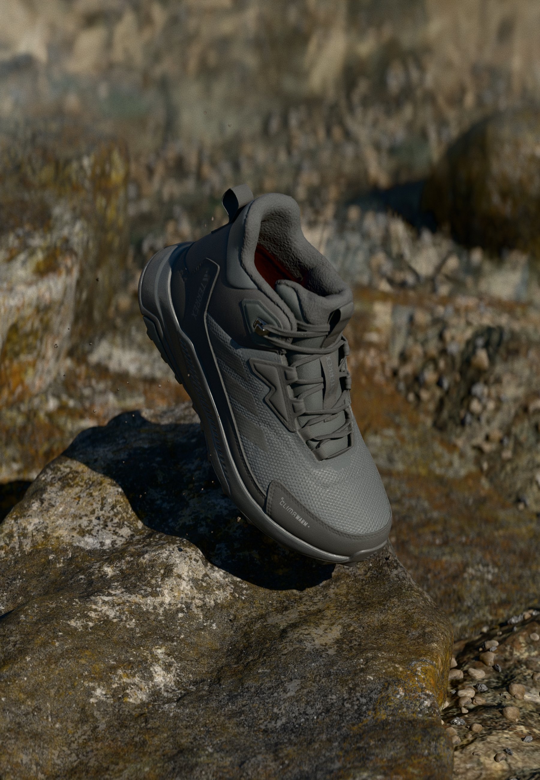 Adidas Terrex ANYLANDER CLIMAWARM - Talvesaapad - süsinikkiust/mustad/hall kuuevärvilised