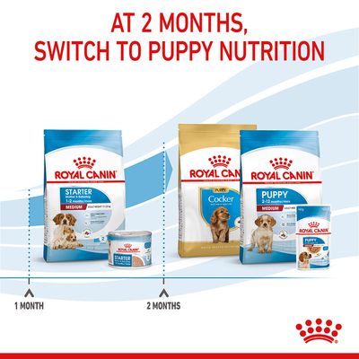 Royal Canin Medium Starter Mor & Babyhund