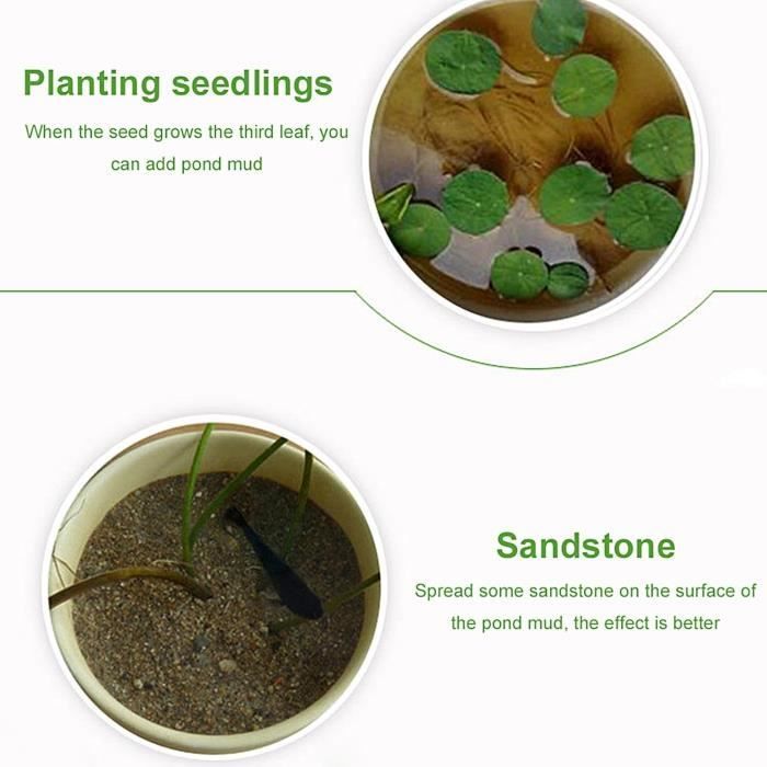 2 unidades de tierra para nenúfares - Sustrato para el fondo de estanques - Compost acuático para plantar en estanques
