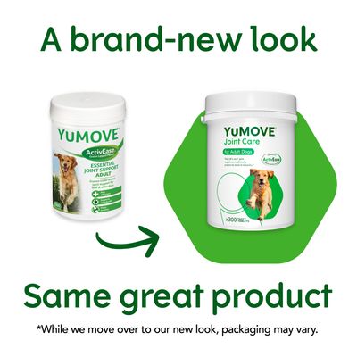 YuMOVE ledvård för vuxna hundar