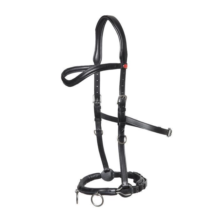 Kieffer Ultrasoft® cavesson for lungeing - black - Cob - Adult - Men's - Equestrian