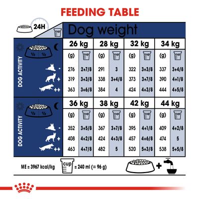 Royal Canin Maxi Adulte