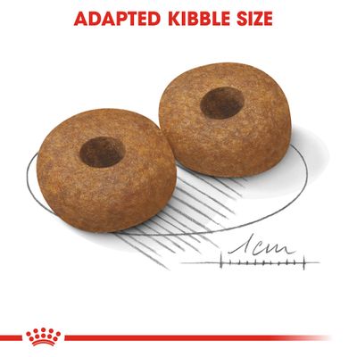 Royal Canin Μέτριας Πήξης 10+