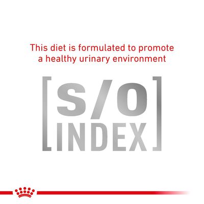 Royal Canin Veterinary Cat - Gastrointestinal Fiber Response i Saus