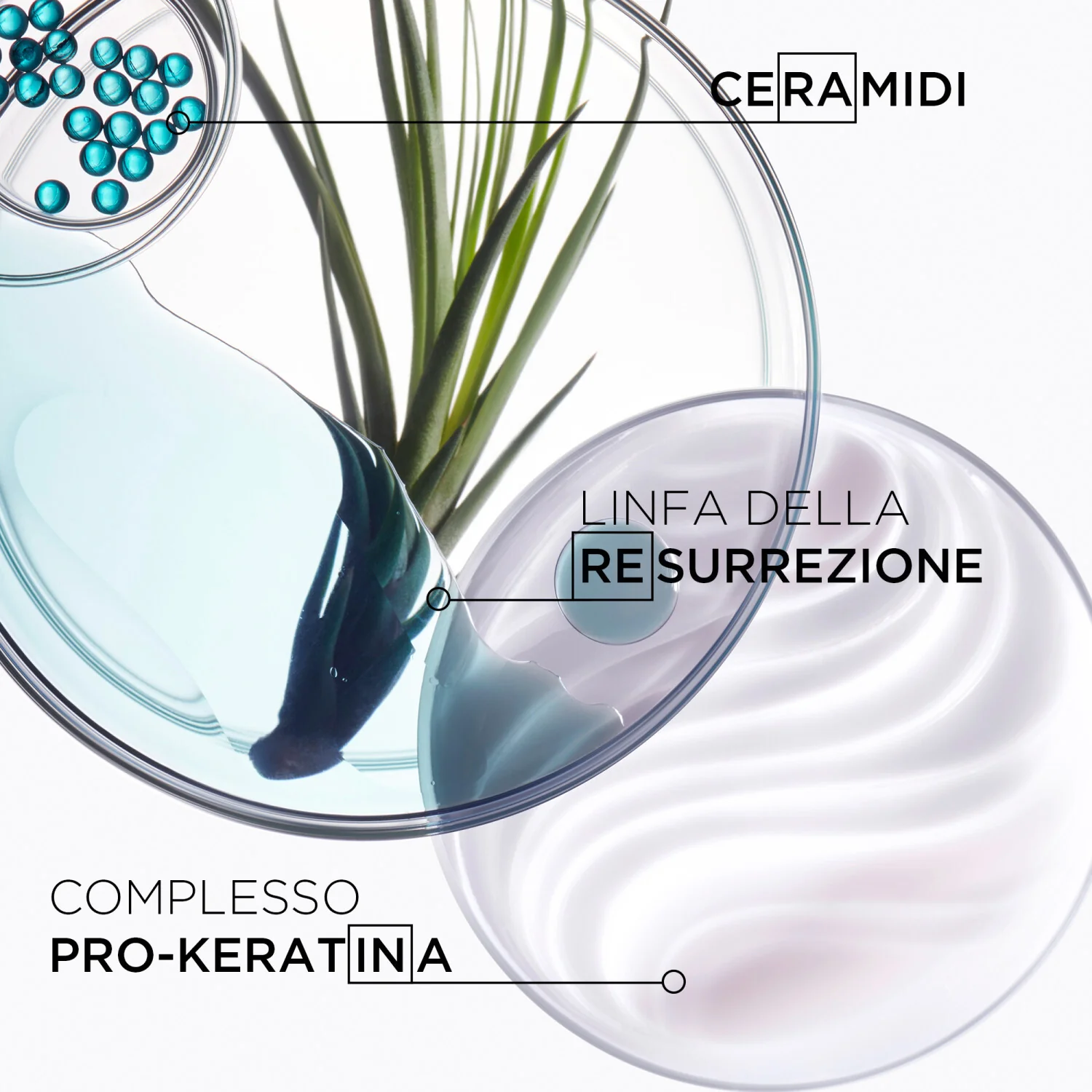 Résistance Ciment Thermique - Crema Capelli Styling & Finish
