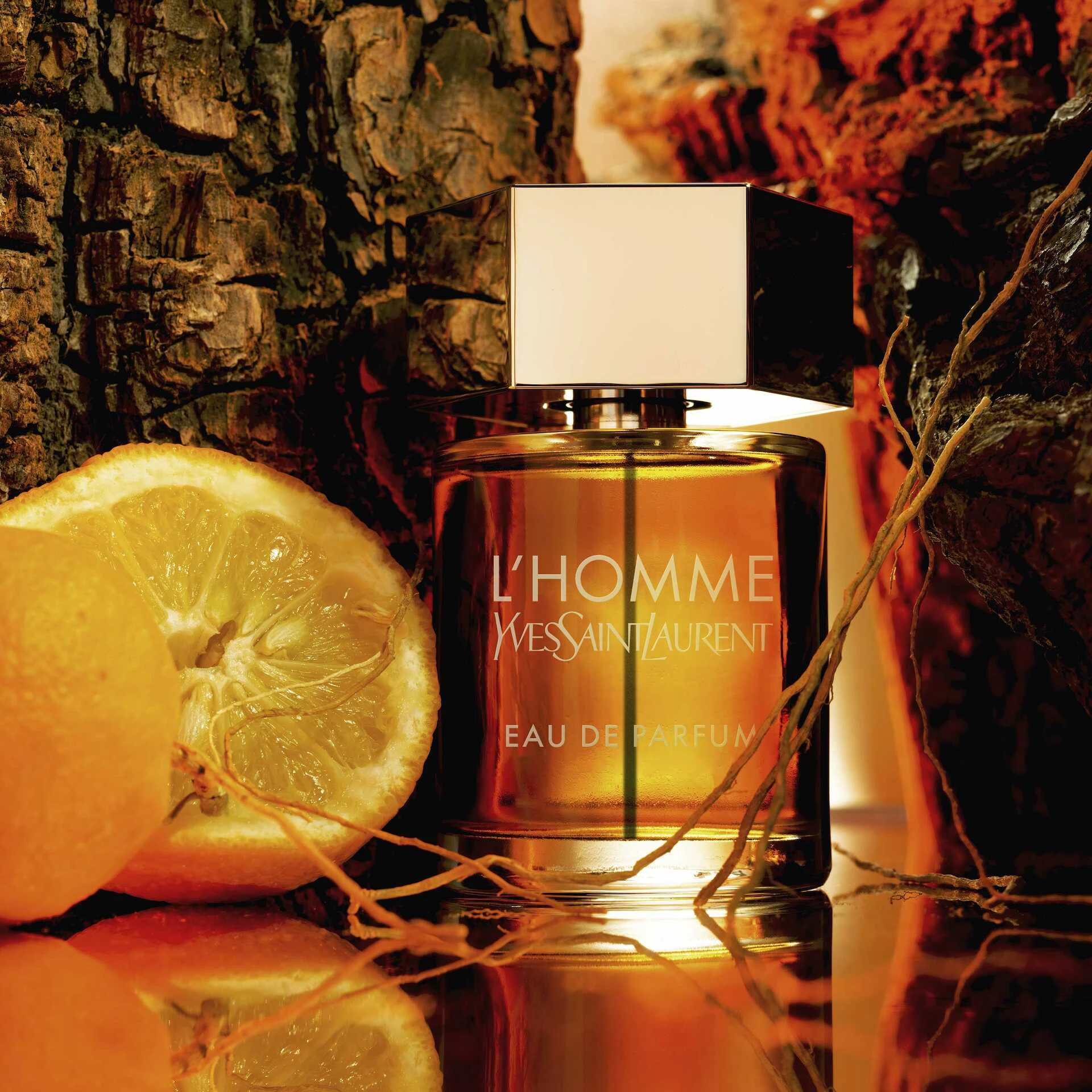 L'Homme EdP 100 ml - Yves Saint Laurent