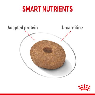 Royal Canin Mini Leichtgewicht Pflege