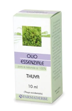 Thuja etherische olie 10 ml
